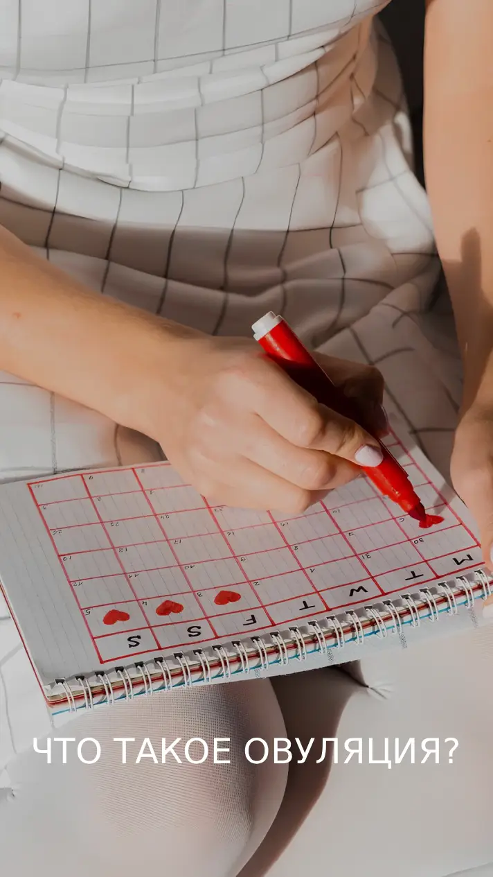 Что такое овуляция?
